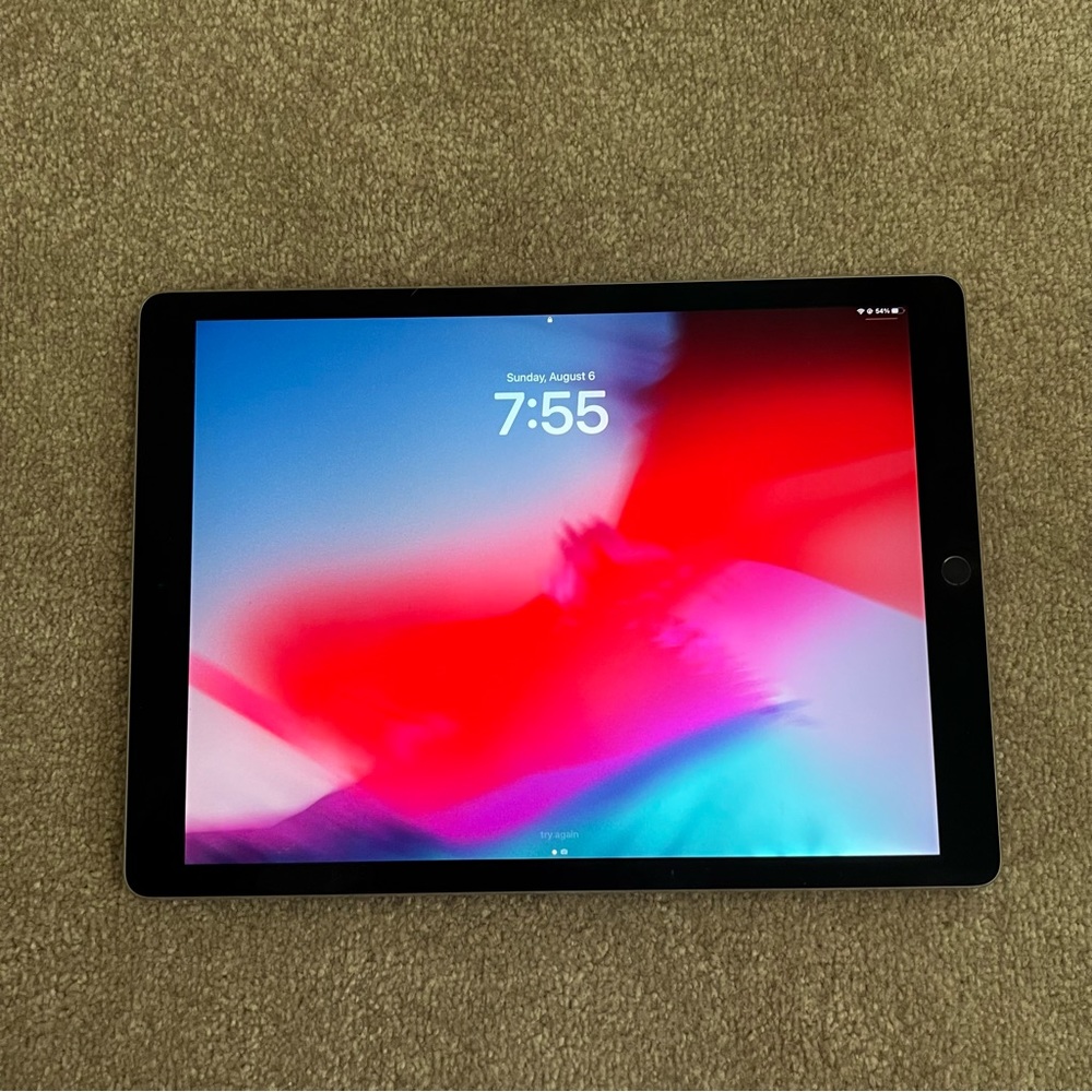 Apple Ipad Pro 12.9 inch 2nd Gen + case